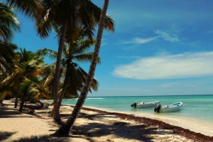 Excursion à l'île de Saona : Paradis tropical avec déjeuner