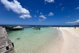 Excursion to Saona Island:Tropical Paradise whit Lunch