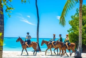 Exhilarating Buggy Tours: Discover Punta Cana Scenic Wonders