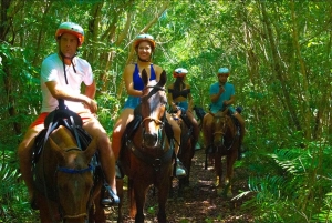 Exhilarating Buggy Tours: Discover Punta Cana Scenic Wonders