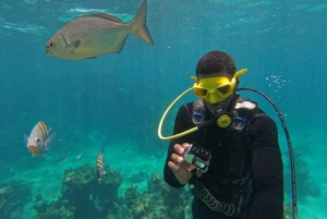 Punta Cana: Experience a Submarine Scooter with ScubaDoo