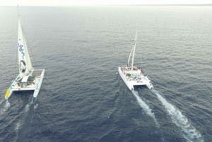 découvrez l'île de Saona depuis Punta Cana