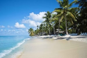 experience saona island from punta cana