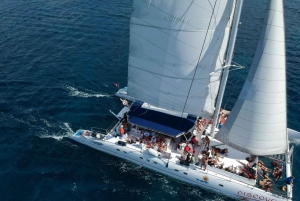 experience saona island from punta cana