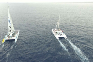 experience saona island from punta cana