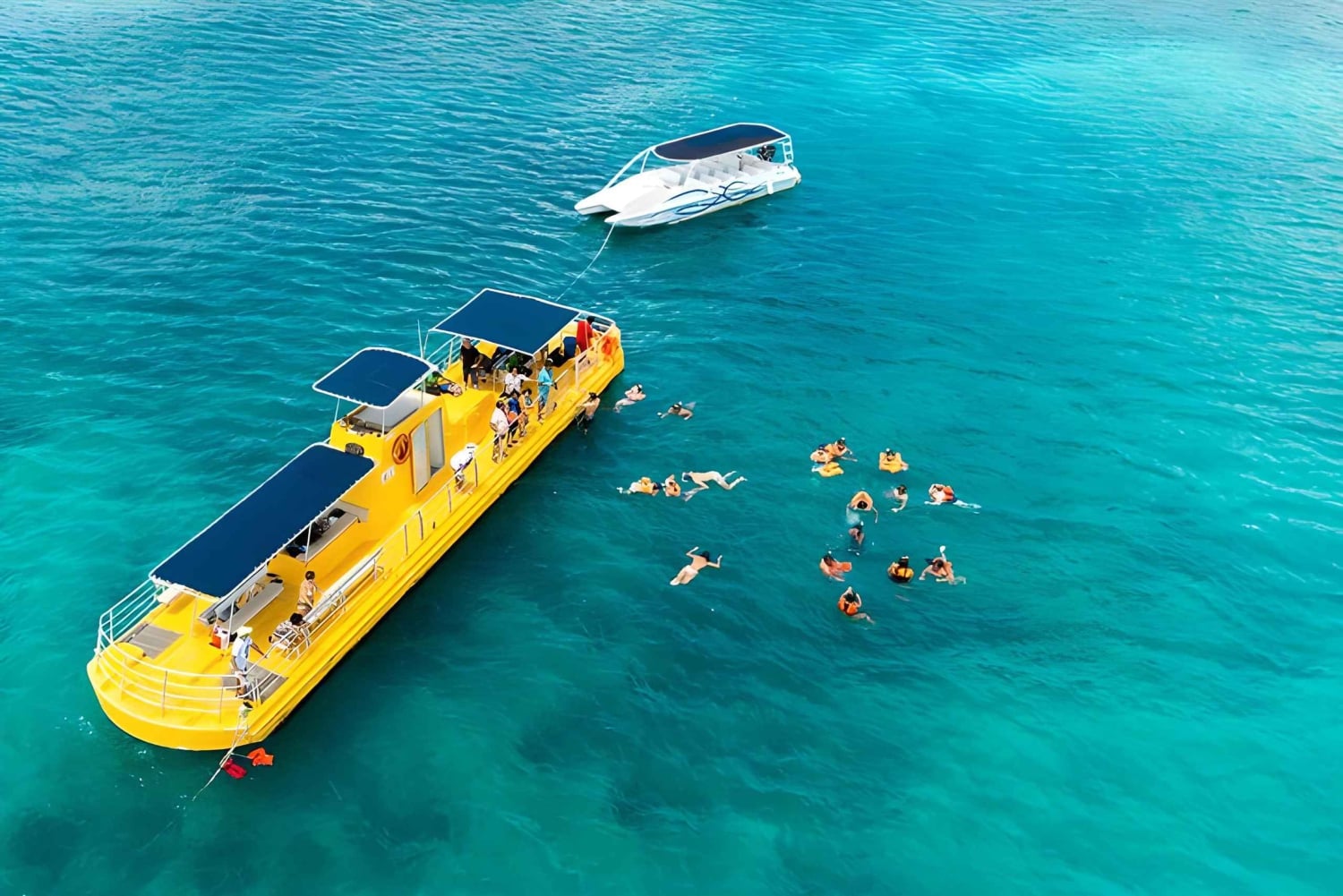 Experience the Exciting Caribbean Underwater World