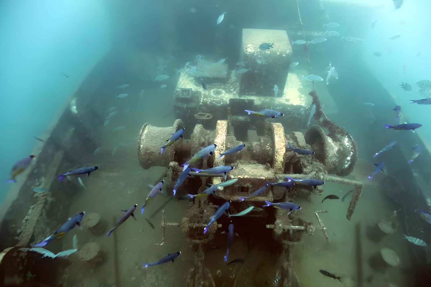 Experience the Exciting Caribbean Underwater World