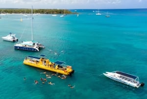 Experience the Exciting Caribbean Underwater World