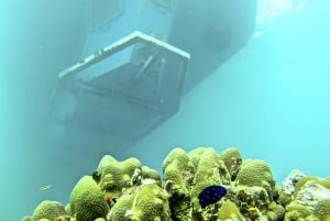 Experimenta el Emocionante Mundo Submarino del Caribe