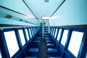 Experience the Exciting Caribbean Underwater World