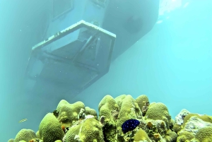 Experience the Exciting Caribbean Underwater World