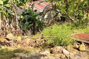 Explore Los Tres Ojos and Swim in a Private Natural Pool