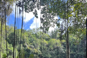 Explore Los Tres Ojos and Swim in a Private Natural Pool