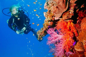 Punta Cana: Explore the Coastline with Our Diving Experience
