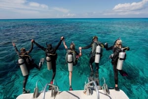 Punta Cana: Explore the Coastline with Our Diving Experience
