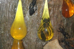 Explora a história e a cultura de Santo Domingo numa excursão a partir de Punta Cana