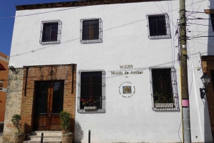 Explora a história e a cultura de Santo Domingo numa excursão a partir de Punta Cana