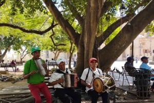 Explore Santo Domingo's history and culture on a tour from Punta Cana