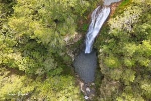 Excursion à Constanza (terre des fraises)