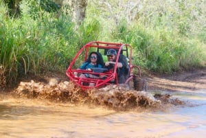 Extreme Dune Adventure Buggy Bayahibe Beach & River