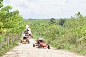 Extreme Dune Buggy Adventure in Macao Beach & Cenote