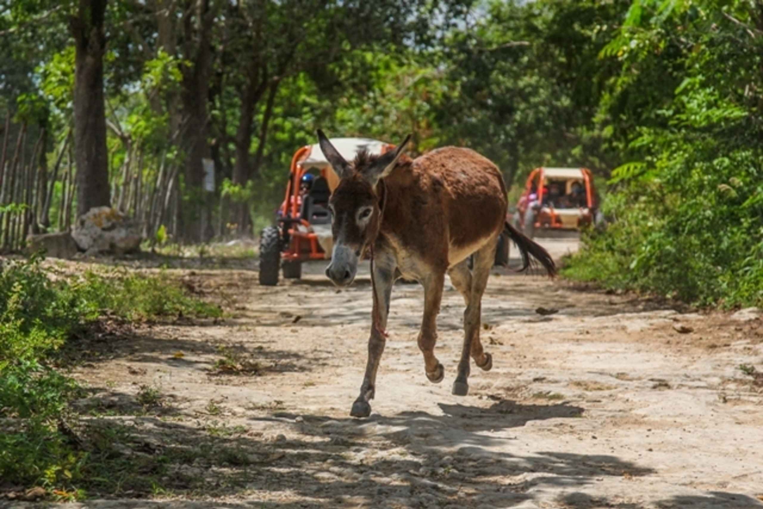 Flintstones Buggy, Cave and Adventure in Bavaro