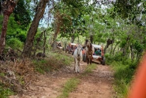 Flintstones Buggy, Cave and Adventure in Bavaro