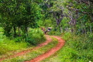 Flintstones Buggy, Cave and Adventure in Bavaro