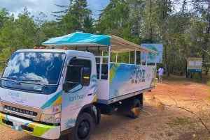 Desde Barahona: tour guiado de día completo a Bahía de las Águilas