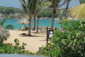 Depuis Bávaro : excursion en buggy à la plage de Macao et au cénote