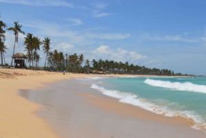 From Bávaro: Double Buggy Tour to Macao Beach and Cenote