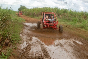 Z Bayahibe: Półdniowa wycieczka La Romana ATV lub 4X4 Buggy Tour