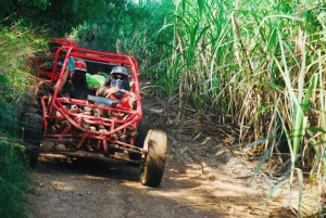 Z Bayahibe: Półdniowa wycieczka La Romana ATV lub 4X4 Buggy Tour