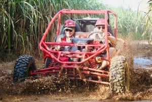 De Bayahibe-La Romana : demi-journée de buggy ATV/Quad 4X4