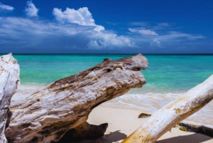 From Bayahibe: Saona Island Beach and Sunset Catamaran Party