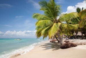 Punta Canasta: Katamaraanikierros Saona-saarelle, vapaa baari ja buffet