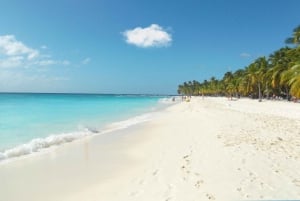 Punta Canasta: Katamaraanikierros Saona-saarelle, vapaa baari ja buffet