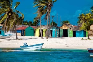 Punta Canasta: Katamaraanikierros Saona-saarelle, vapaa baari ja buffet