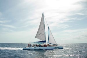Punta Canasta: Katamaraanikierros Saona-saarelle, vapaa baari ja buffet