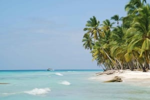 Punta Canasta: Katamaraanikierros Saona-saarelle, vapaa baari ja buffet