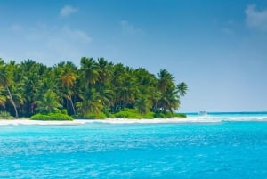 Punta Canasta: Katamaraanikierros Saona-saarelle, vapaa baari ja buffet
