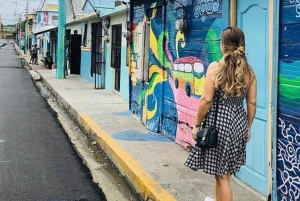 From Cabarete: Santiago City Heights Tour with Cable Car