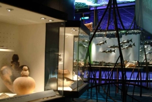 From Cabarete: Santiago City Heights Tour with Cable Car