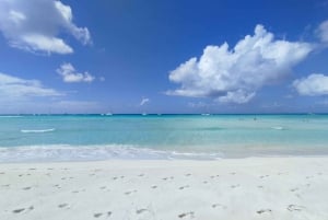 From Juan Dolio, excursion to the beautiful island of Saona by catamaran and speedboat.