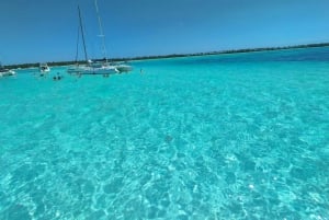 From Juan Dolio, excursion to the beautiful island of Saona by catamaran and speedboat.