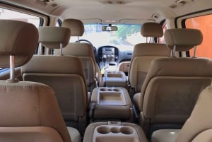 Fra Las Terrenas: Guidet tur i Los Haitises nationalpark