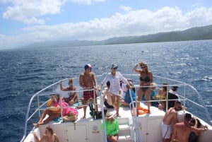 From Puerto Plata: Cayo Arena Private Catamaran Trip & Lunch