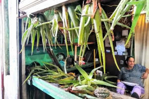 From Puerto Plata: Dominican Cocoa, Coffee, & Culture Tour