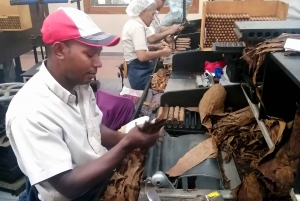 From Puerto Plata: Dominican Cocoa, Coffee, & Culture Tour