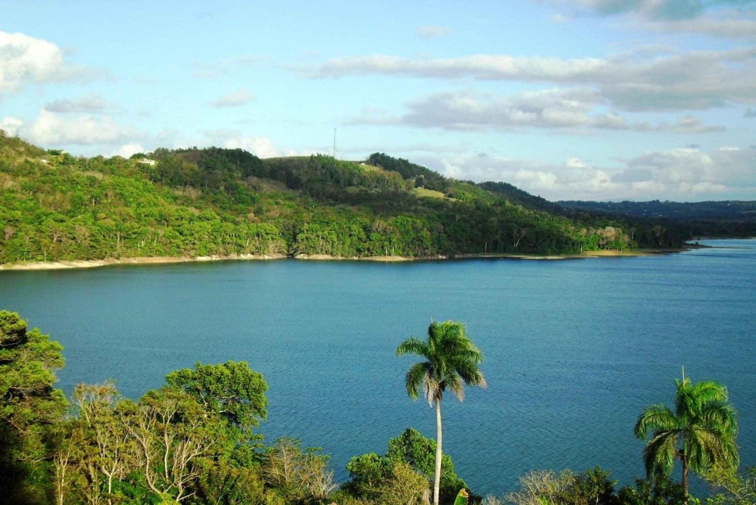 From Puerto Plata: Expedition to Samaná, Bacardi Island, and an Adventure of Your Choice